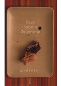 Papp Sándor Zsigmond - Gyűlölet