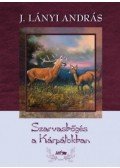 J. Lányi András - Szarvasbőgés a Kárpátokban