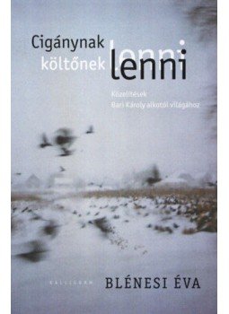 Blénesi Éva - Cigánynak lenni, költőnek lenni - Közelítések Bari Károly költészetéhez, null 2018 antikvár könyv