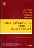 Bánáti János, Dr. Belegi József, Dr. Belovics Ervin, Dr. Erdei Árpád, Farkas Ákos, Kónya István - A büntetőeljárási törvény magyarázata - Az új, 2017. évi büntetőeljárási törvény magyarázata a kodifikációs bizottság korábbi tagjaitól
