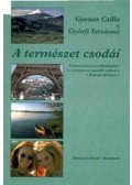 Gyenes Csilla - A természet csodái munkafüzet 6. osztály