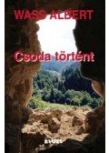 Wass Albert - Csoda történt