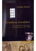 Liszka József - Termékeny homályban