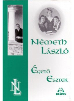 Németh László - Égető Eszter Németh László - Égető Eszter, Pomáz 2008 antikvár könyv
