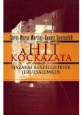Martini, Carlo Maria,Georg Sporschill - A hit kockázata - Éjszakai beszélgetések Jeruzsálemben