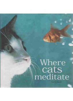 BAIRD, DAVID - Where Cats Meditate BAIRD, DAVID - Where Cats Meditate, London 2002 antikvár könyv