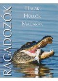 Henn László - Ragadozók - Halak, hüllők, madarak