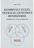 Retter Gyula - Kombinált fuzzy, neutrális, genetikus rendszerek