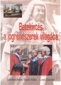Badó Attila,Loss Sándor - Betekintés a jogrendszerek világába