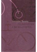 Svetislav Basara - Feljegyzések a biciklistákról