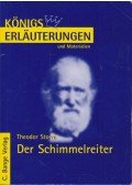 Theodor Storm - Der Schimmelreiter
