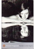F. Scott Fitzgerald - Tender is the Night