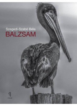 Szegedi, Szabó Béla - Balzsam Szegedi, Szabó Béla - Balzsam, Újvidék 2018 antikvár könyv