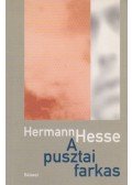 Hermann Hesse - A pusztai farkas