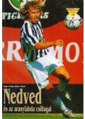 Hegyi Tamás,Misur Tamás - Nedved és az aranylabda csillagai