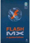 Benkő László,Lehel György,Sziklai János - Flash MIX a gyakorlatban