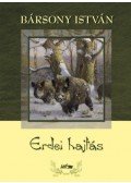 Bársony István - Erdei hajtás