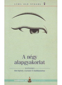 Láma Ole Nydahl - A négy alapgyakorlat Láma Ole Nydahl - A négy alapgyakorlat, Budapest 1998 antikvár könyv