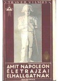 Tower Vilmos - Amit Napoleon életrajzai elhallgatnak
