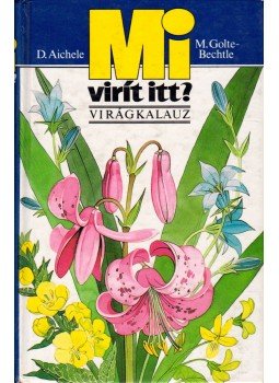 Golte-Bechtle, M., Aichele, D. - Mi virít itt?, Budapest 1991 antikvár könyv
