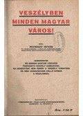 Petróczy István - Veszélyben minden magyar város!