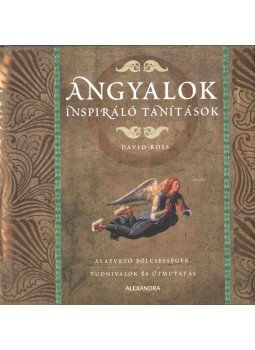 David Ross - Angyalok David Ross - Angyalok, Pécs 2008 antikvár könyv