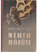Örösi Pál Zoltán - Méhek között