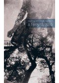 Varga Zoltántamás - A fényrajzoló