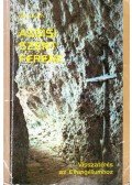 P. Eloi Leclerc O.F.M. - Assisi Szent Ferenc - Visszatérés az Evangéliumhoz