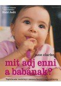 Jane Clarke,Stahl Judit - Mit adj enni a babának?