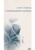 Lányi András - A kettészakított üstökös