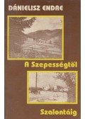 Dánielisz Endre - A Szepességtől Szalontáig