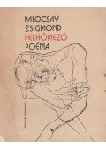 Palocsay Zsigmond - Felhőmező