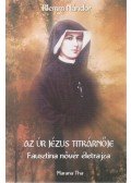 Klemm Nándor - Az Úr Jézus titkárnője