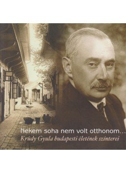 Saly Noémi - Nekem soha nem volt otthonom... Saly Noémi - Nekem soha nem volt otthonom..., Budapest 2013 antikvár könyv