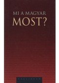 Sándor Iván - Mi a magyar most?