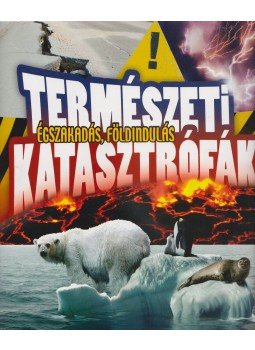 Lerner János - Természeti katasztrófák Lerner János - Természeti katasztrófák, Kisújszállás 2013 antikvár könyv
