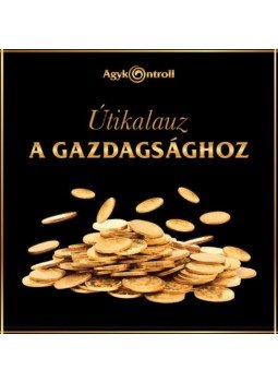 Domján András - Útikalauz a gazdagsághoz - CD melléklettel, null 2017 antikvár könyv