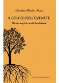 Amotáné Benkő Noémi - A bölcsesség üzenete - Mindennapi útmutató fiataloknak