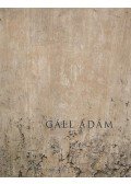 Gáll Ádám - Eltűnésmintázatok