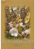 Rácz Piusz - Ferencesek Zala szívében (dedikált)