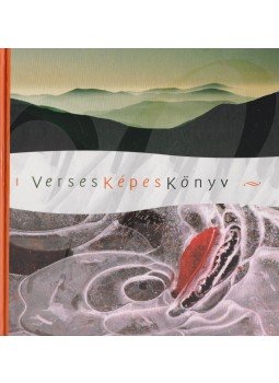 Csányi Tamás - Verses Képes Könyv, Budapest 2011 antikvár könyv