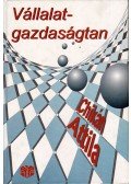 Chikán Attila - Vállalatgazdaságtan