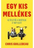 Chris Guillebeau - Egy kis mellékes - Az ötlettől a bevételig 27 nap alatt