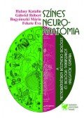 FeketeÉva; Bagyánszki Mária; Gábriel Róbert; Halassy Katalin - Színes neuroanatómia