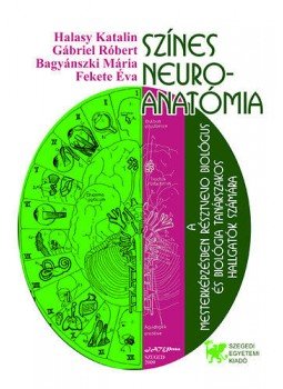 FeketeÉva; Bagyánszki Mária; Gábriel Róbert; Halassy Katalin - Színes neuroanatómia FeketeÉva; Bagyánszki Mária; Gábriel Róbert; Halassy Katalin - Színes neuroanatómia, null 2009 antikvár könyv