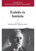 szerk. Bogdanov Edit,Székely László - Észlelés és fantázia