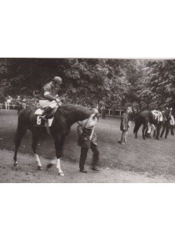  - 1976-os Lóverseny résztvevője (fénykép),  0 antikvár könyv