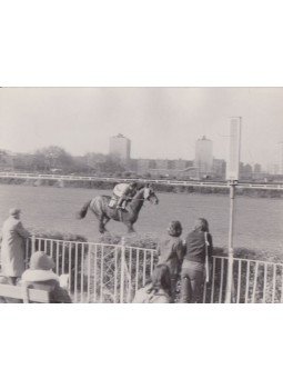  - 1976-os Lóverseny résztvevője - Eretnek (fénykép),  0 antikvár könyv
