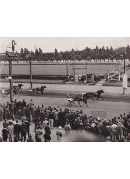  - 1957. Lóversenyfotó, budapesti Ügető (fénykép),  1957 antikvár könyv